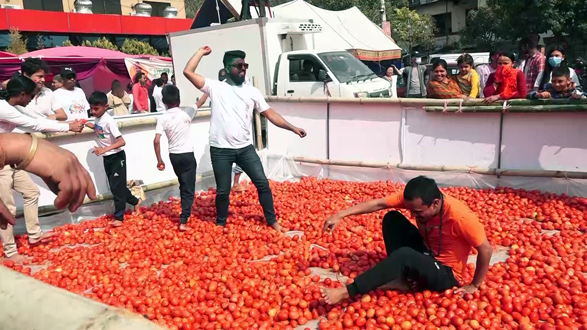 tomatino festival_Moment बभचतजत्रभच1678100881.jpg